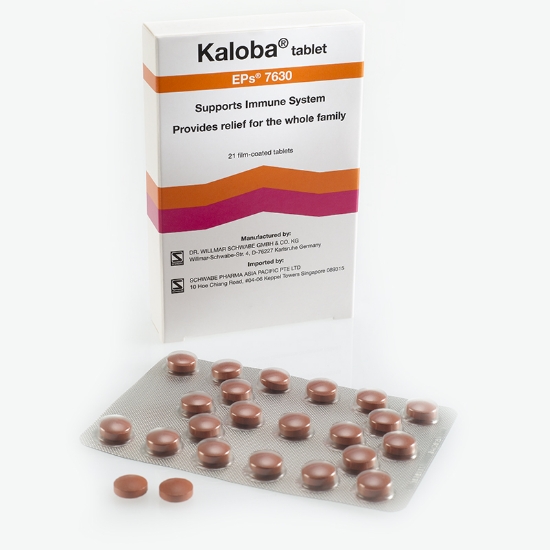 Picture of Kaloba Tablet 20mg 21s