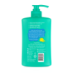 Picture of Suu Balm Kids Dual Soothing & Moisturising Head to Toe Wash 840ml